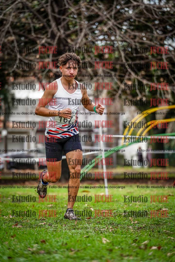 Fotos en el circuito