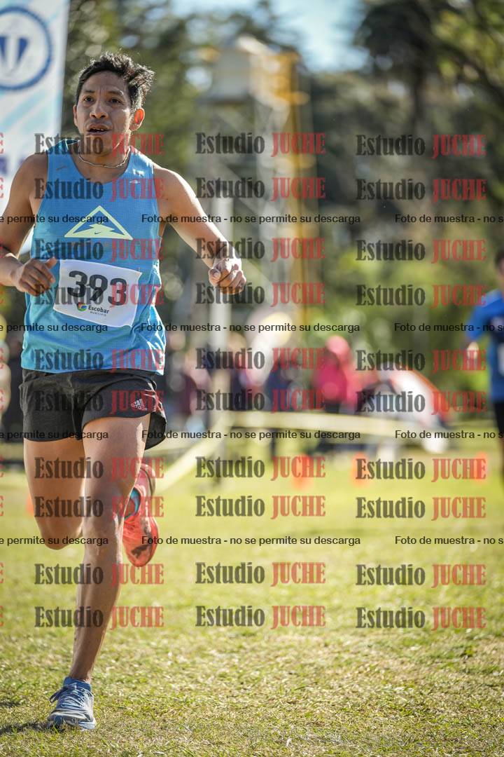 Fotos de la llegada del cross de 8000 m
