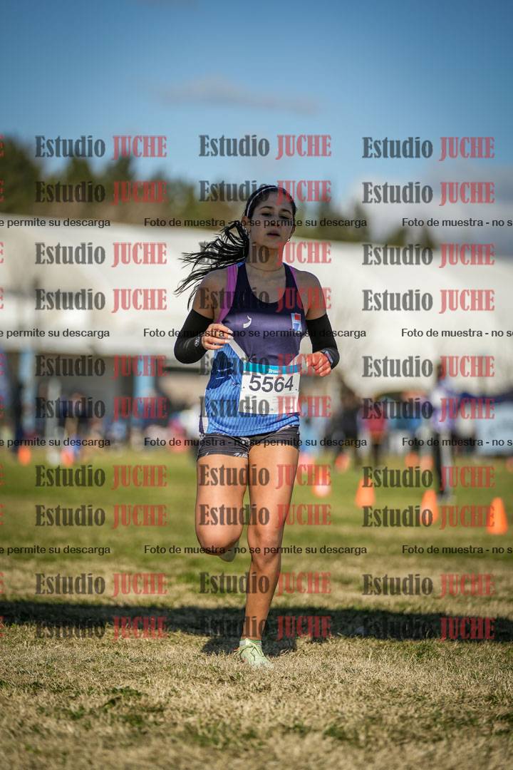 Fotos de las llegadas