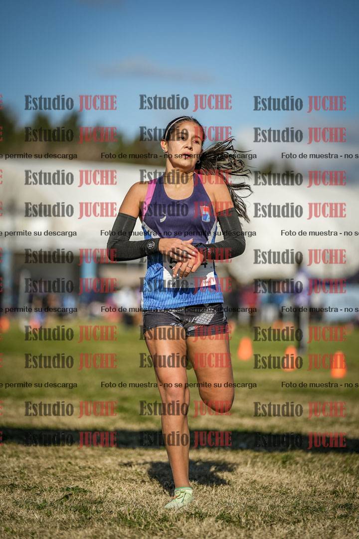 Fotos de las llegadas