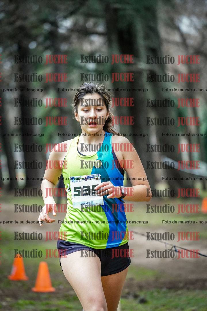 Fotos en el circuito