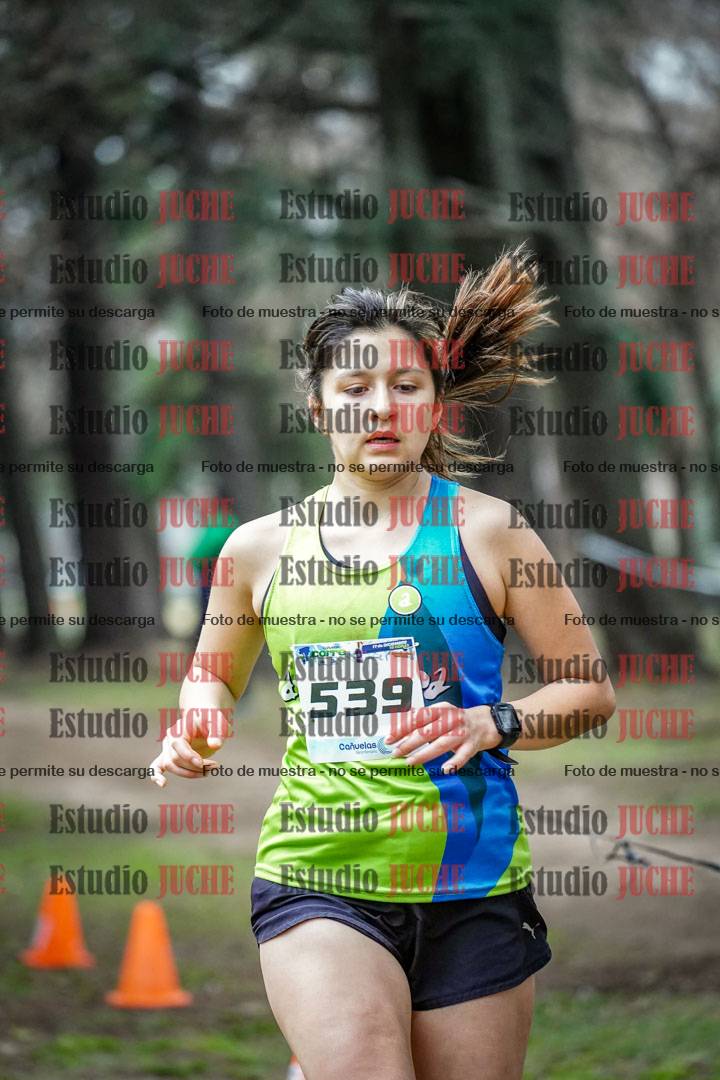 Fotos en el circuito
