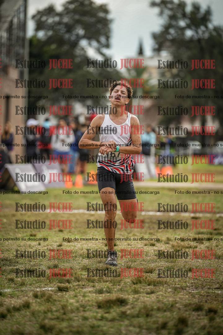Fotos de la llegada