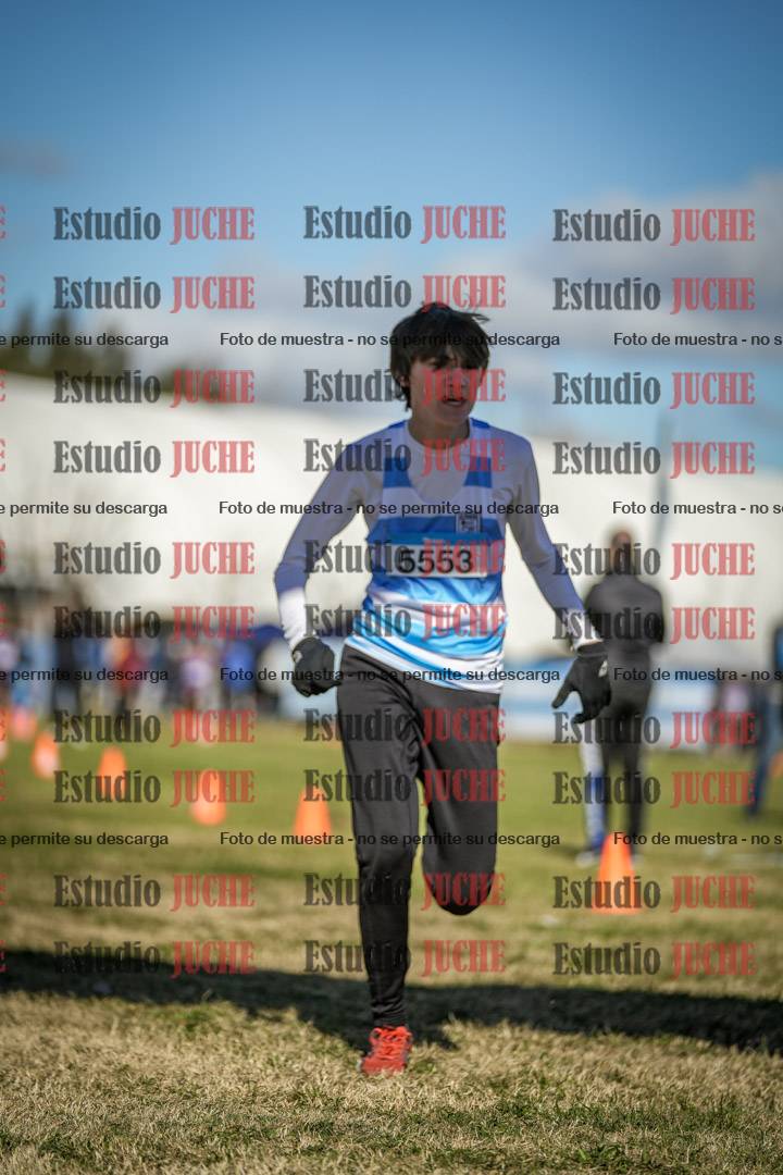 Fotos de las llegadas