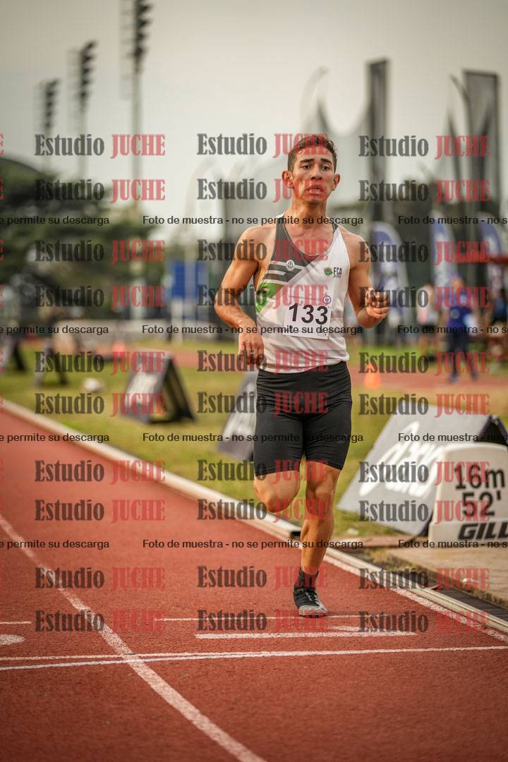 Fotos de los 1500 m llanos de varones