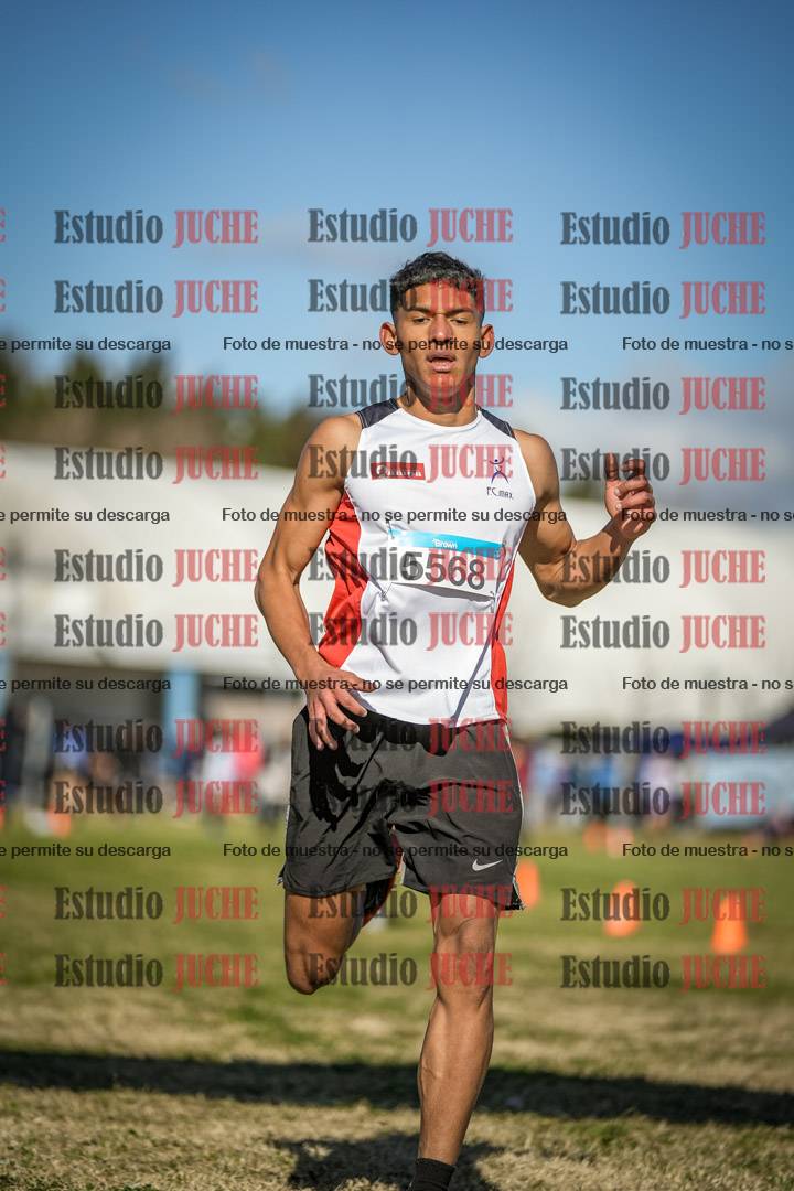 Fotos de las llegadas