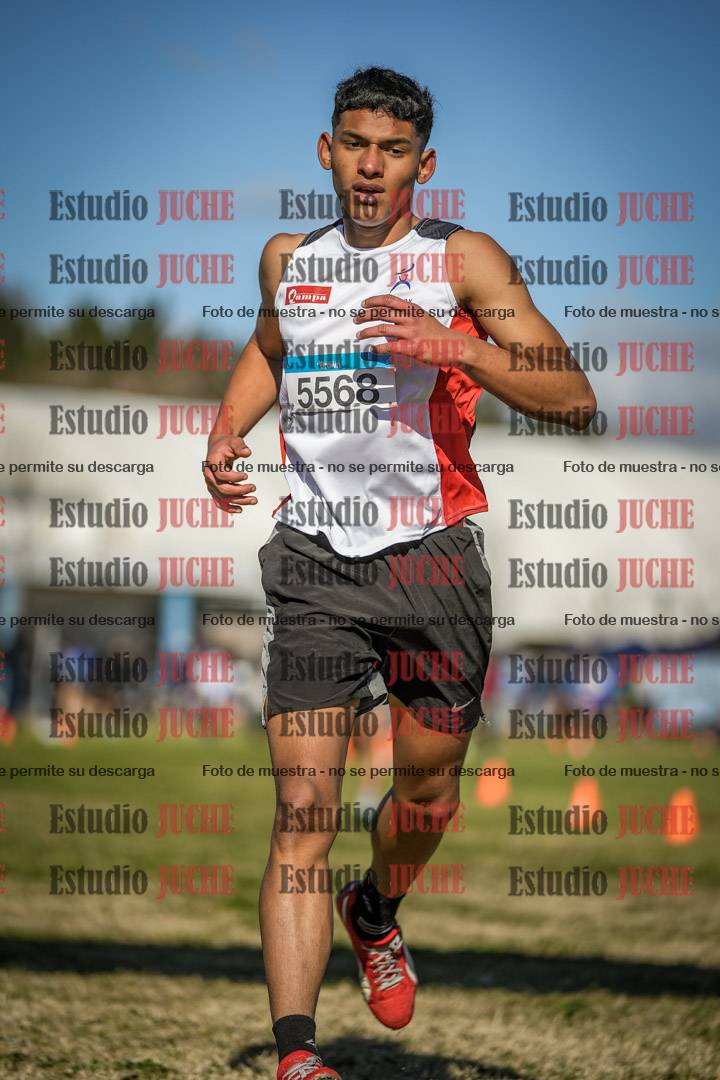 Fotos de las llegadas