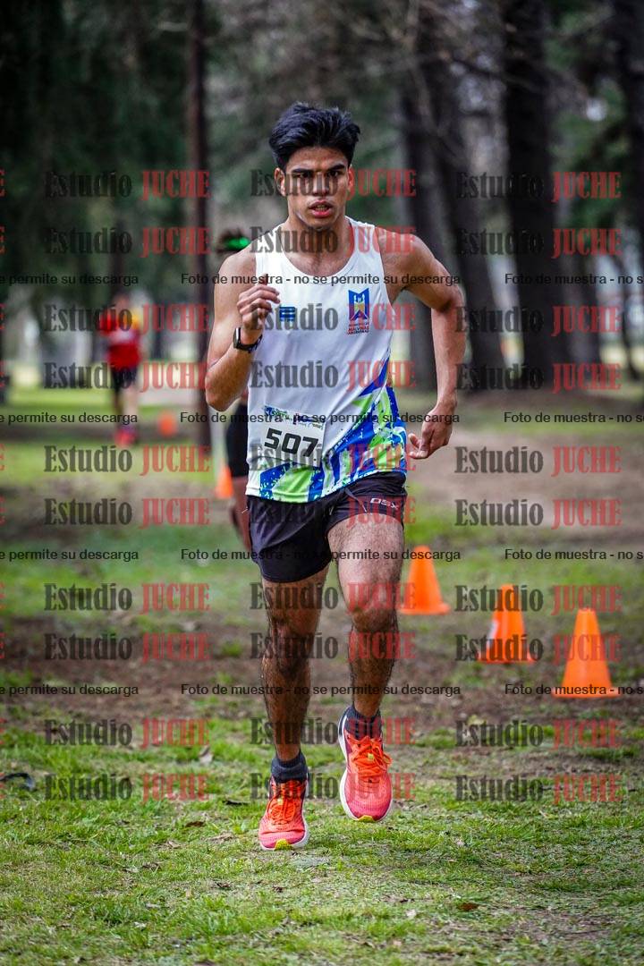 Fotos en el circuito