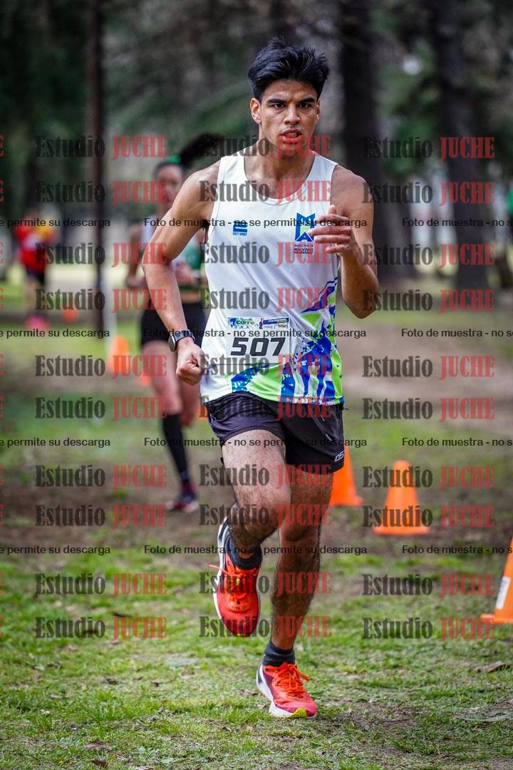 Fotos en el circuito
