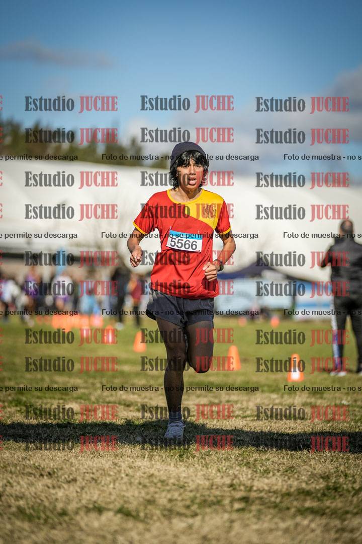 Fotos de las llegadas