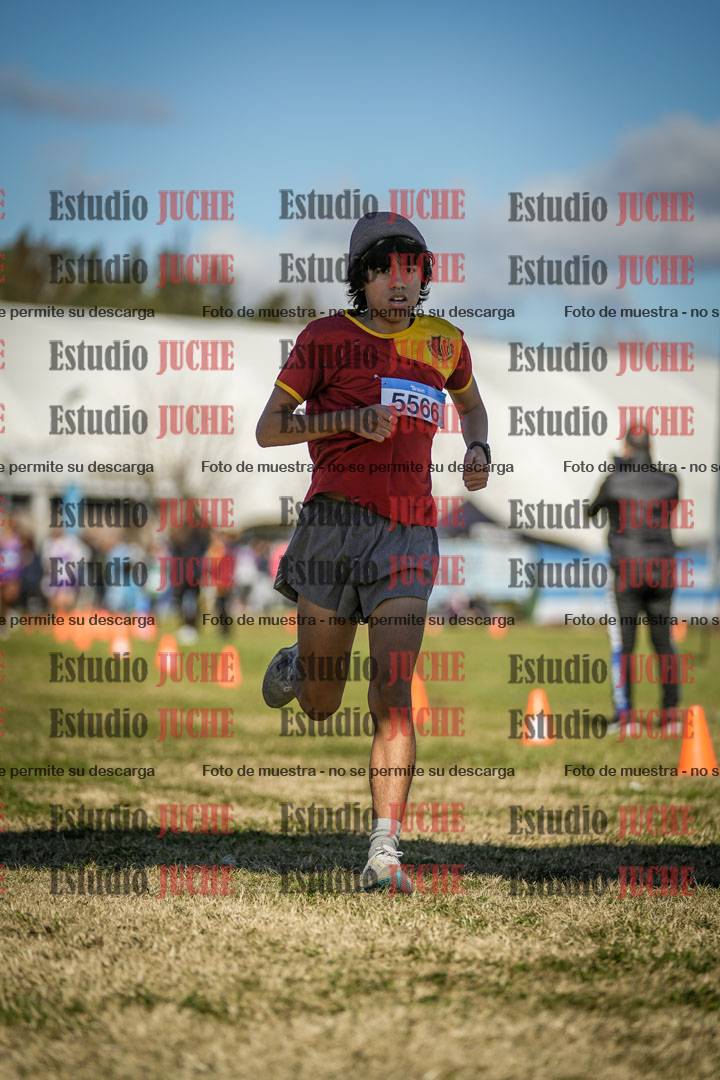 Fotos de las llegadas