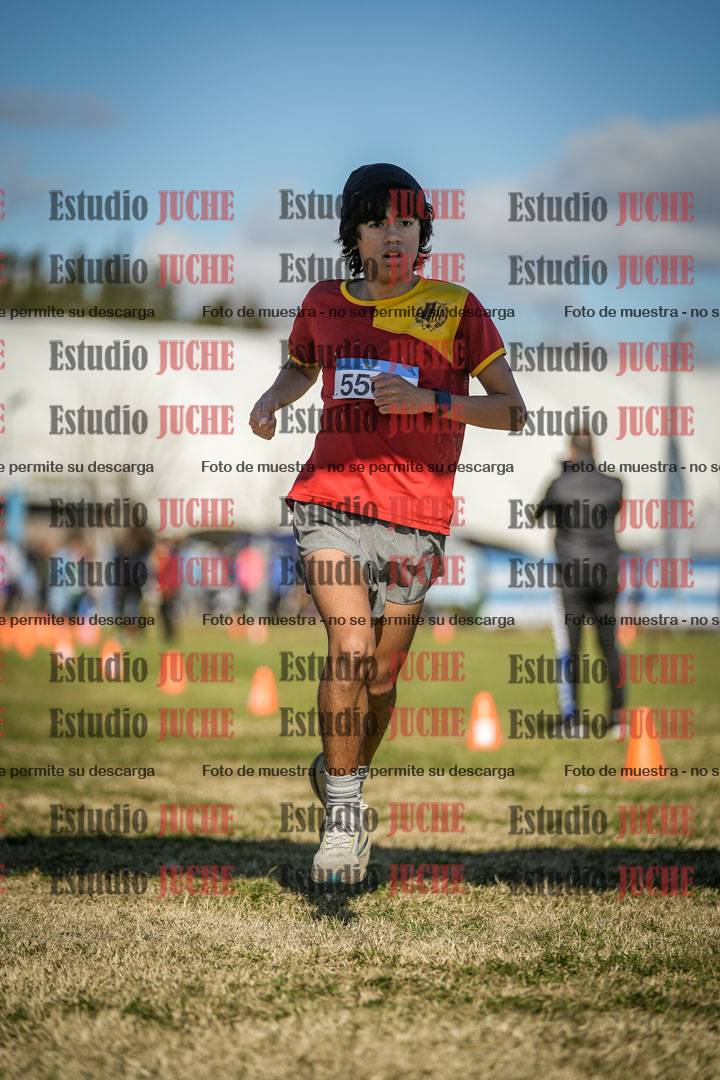 Fotos de las llegadas