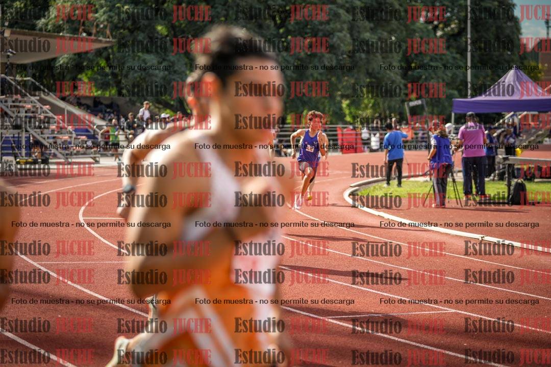 Fotos de los 800 m llanos de varones