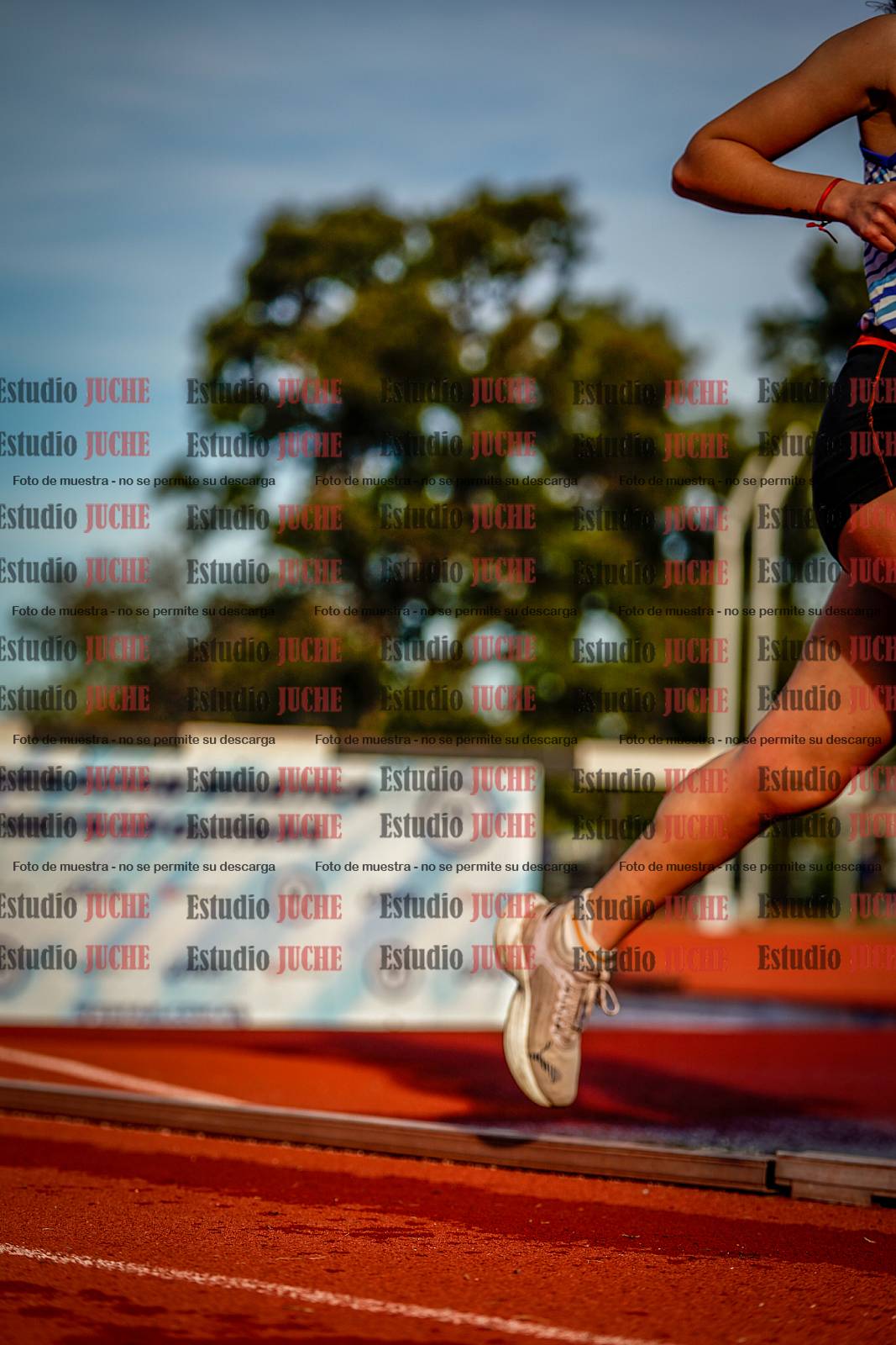 Fotos de los 5000 m de mujeres