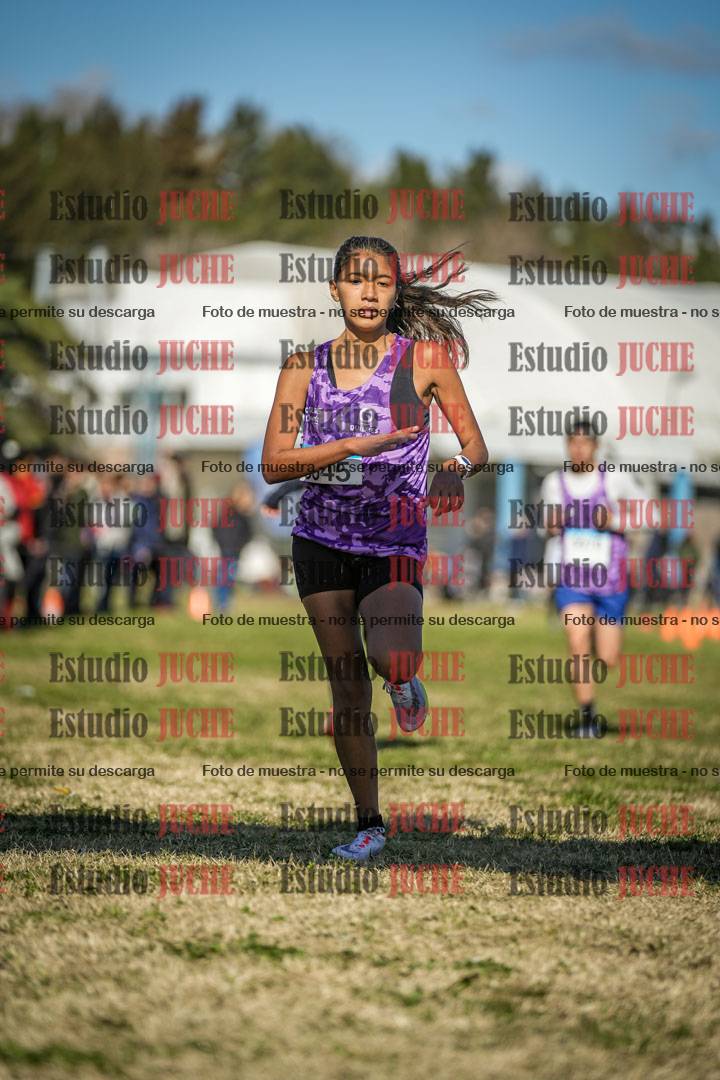 Fotos de las llegadas