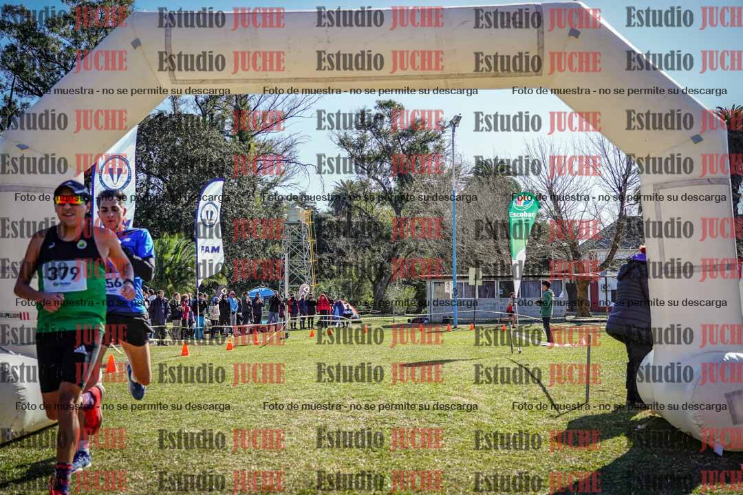 Fotos de la llegada del cross de 8000 m