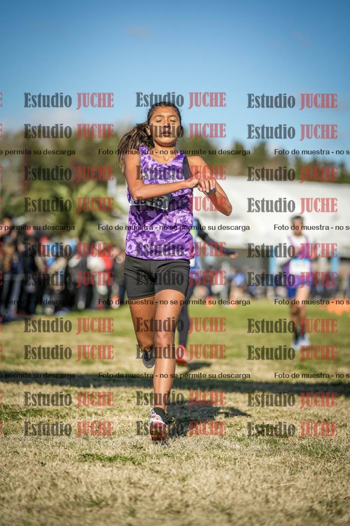 Fotos de las llegadas