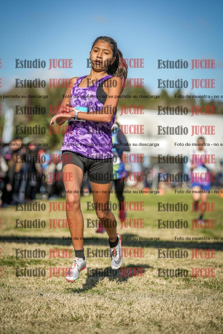 Fotos de las llegadas