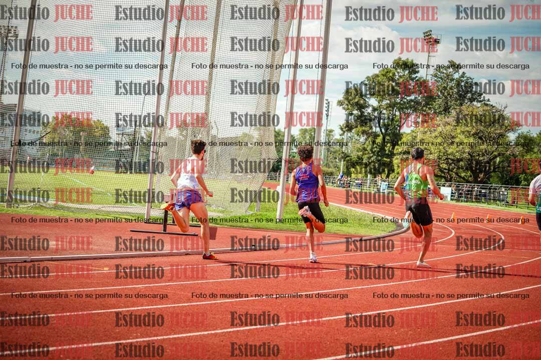 Fotos de los 800 m llanos de varones