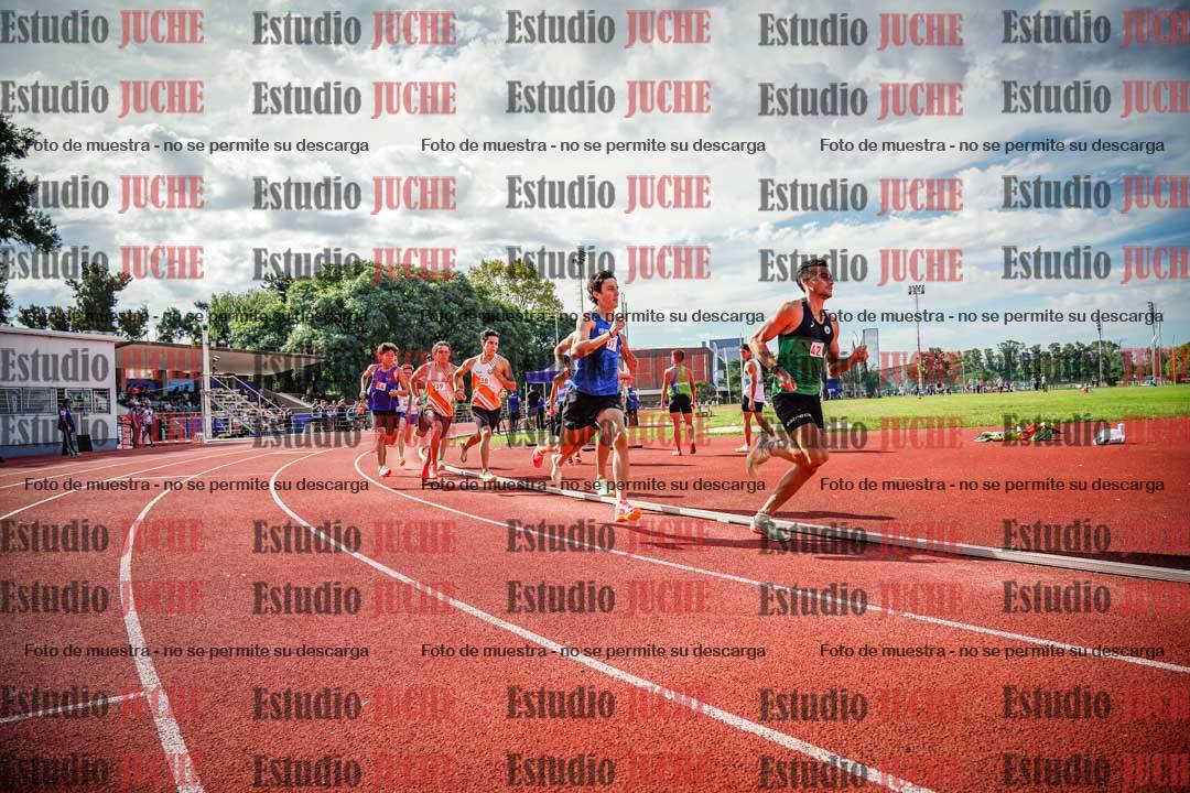 Fotos de los 800 m llanos de varones