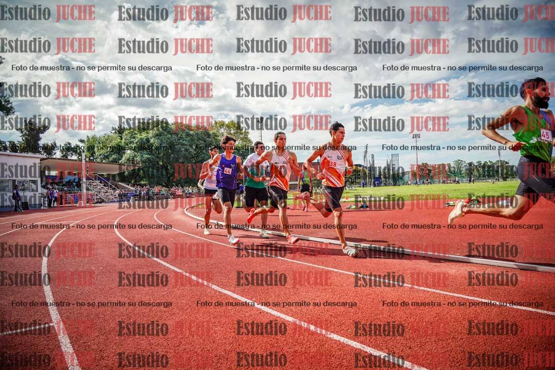 Fotos de los 800 m llanos de varones