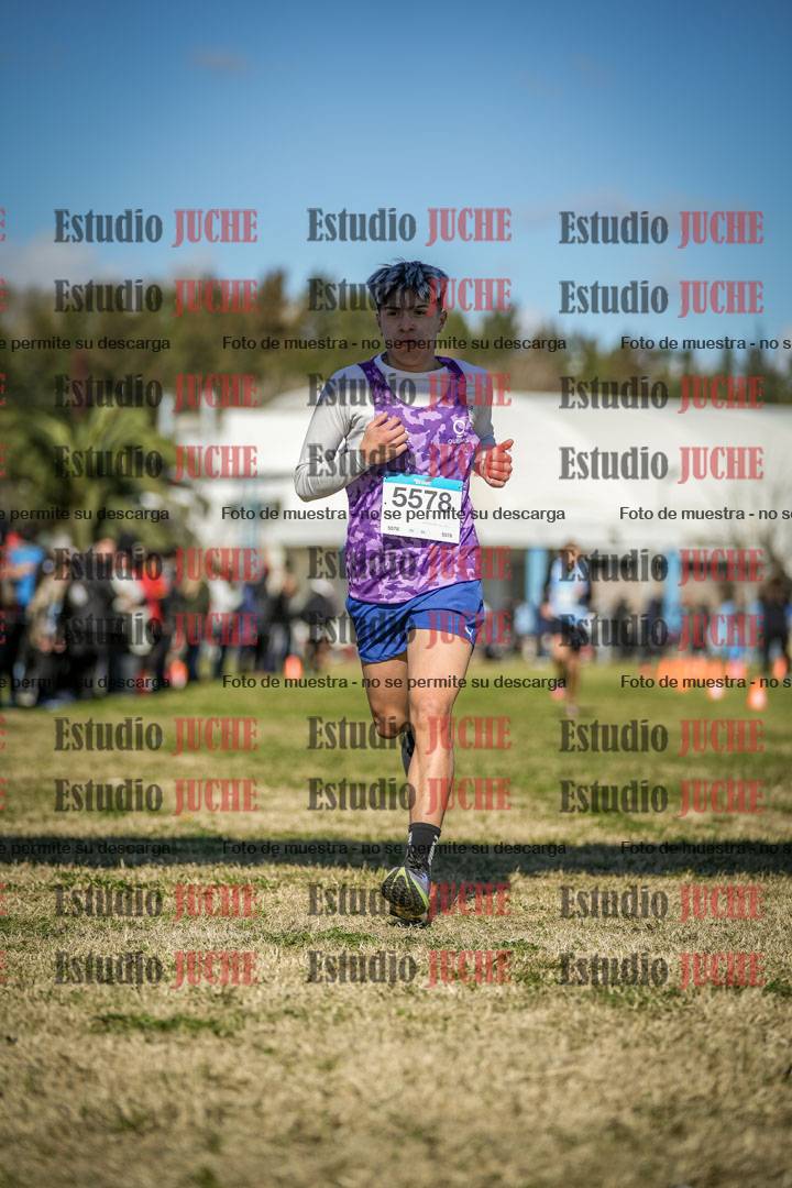 Fotos de las llegadas