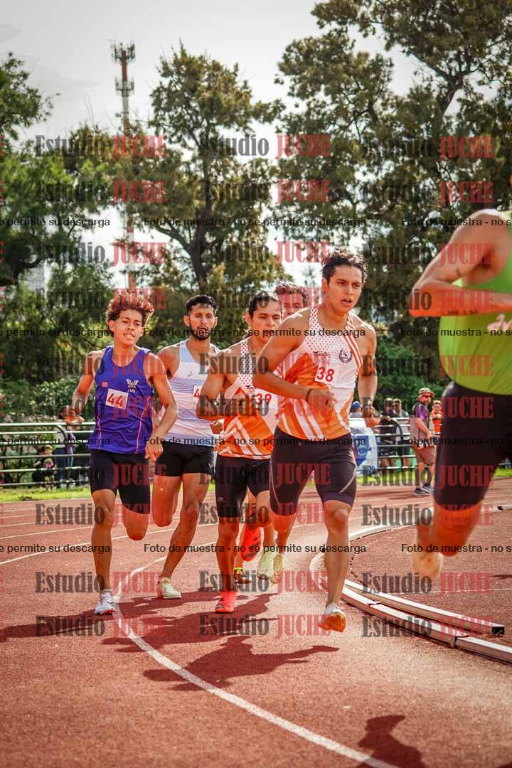 Fotos de los 800 m llanos de varones