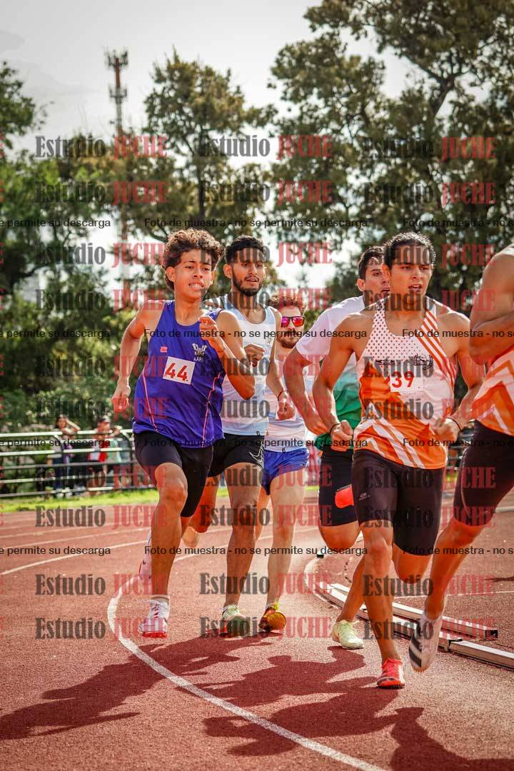 Fotos de los 800 m llanos de varones