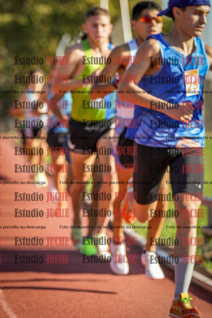 Fotos de los 3000 m llanos de varones