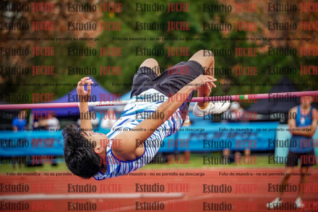 Fotos del salto en alto de varones - decatlón 4