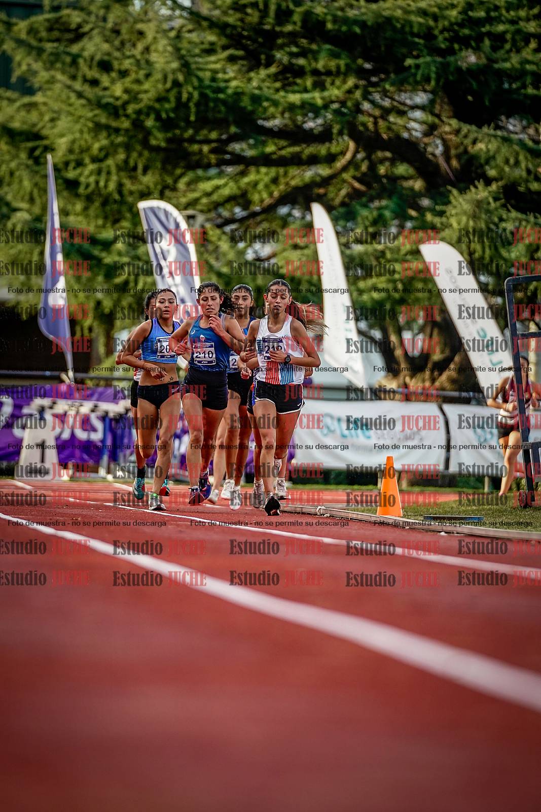 Fotos de los 5000 m de mujeres