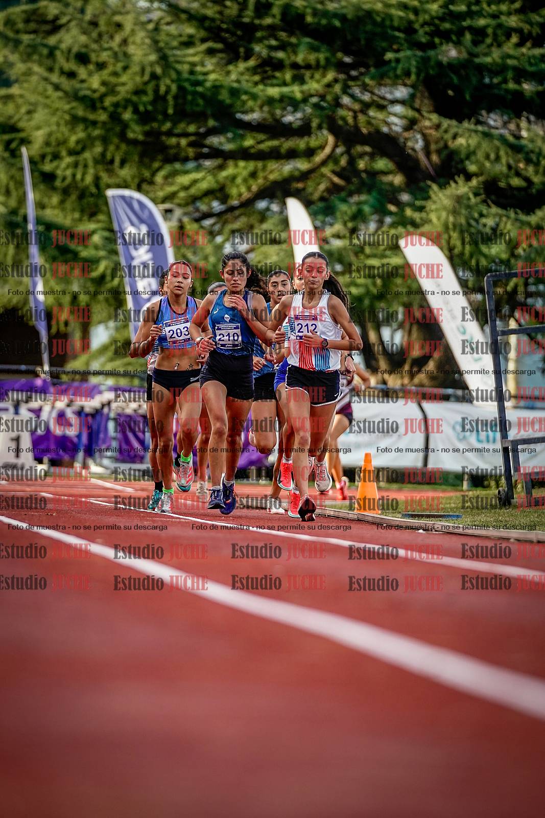 Fotos de los 5000 m de mujeres