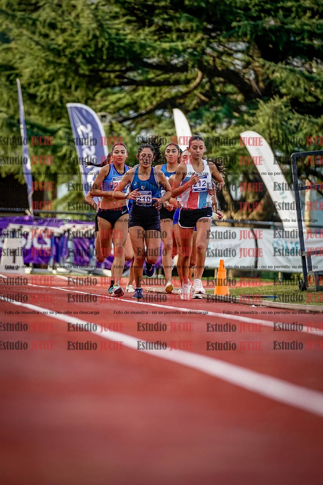 Fotos de los 5000 m de mujeres