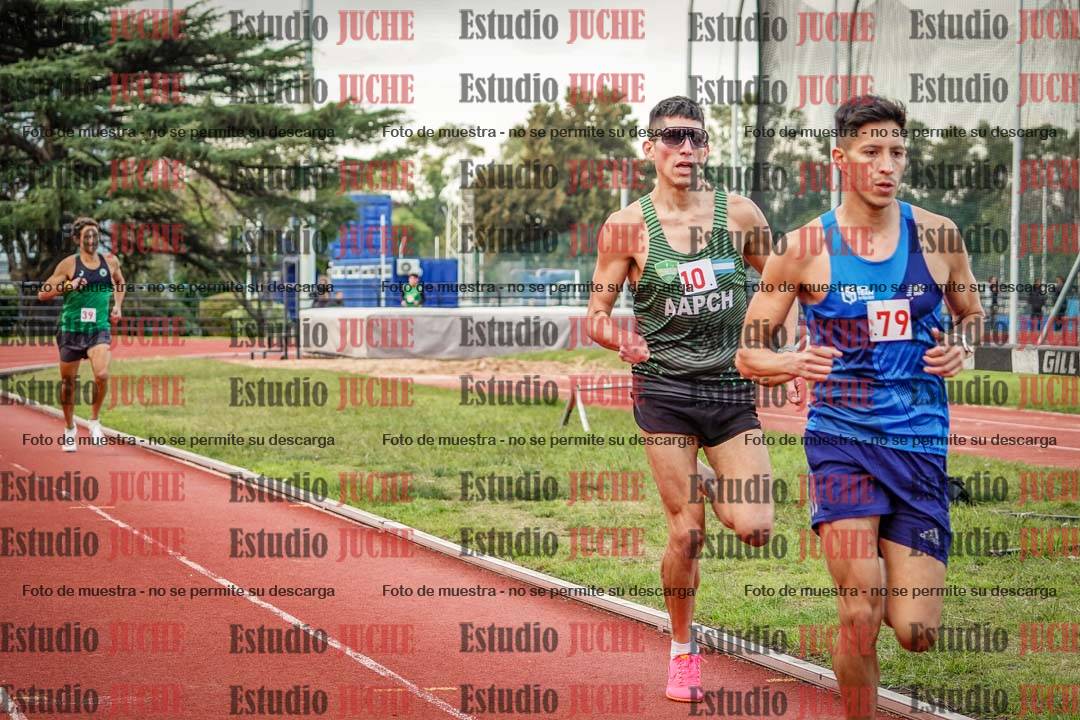 Fotos de los 1500 m llanos de varones