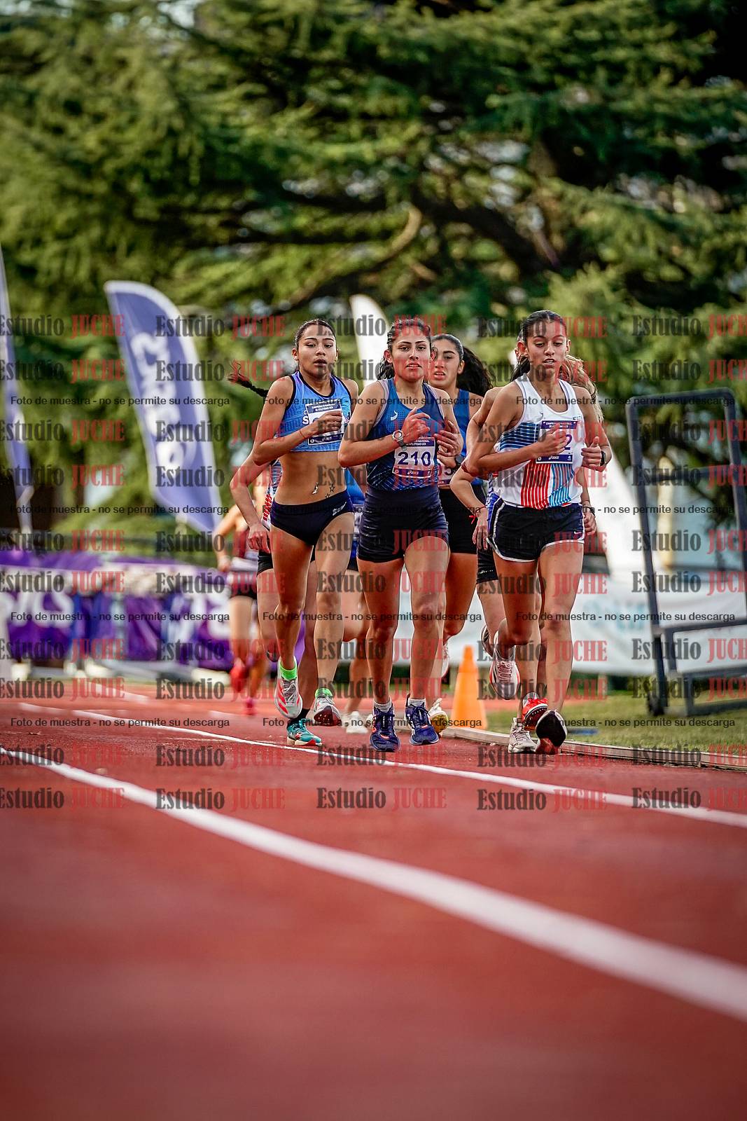 Fotos de los 5000 m de mujeres
