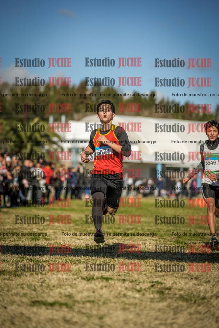 Fotos de las llegadas