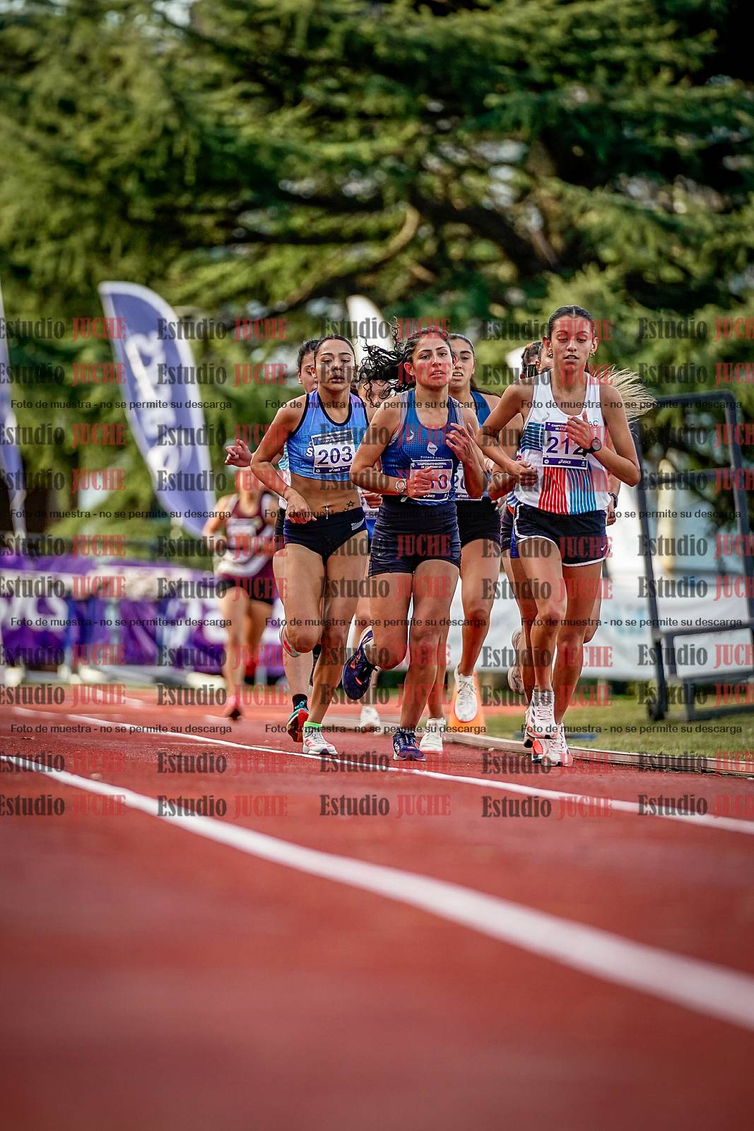 Fotos de los 5000 m de mujeres