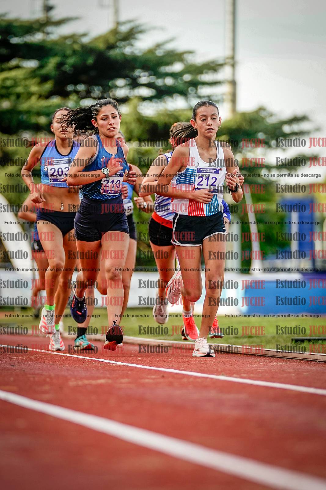 Fotos de los 5000 m de mujeres