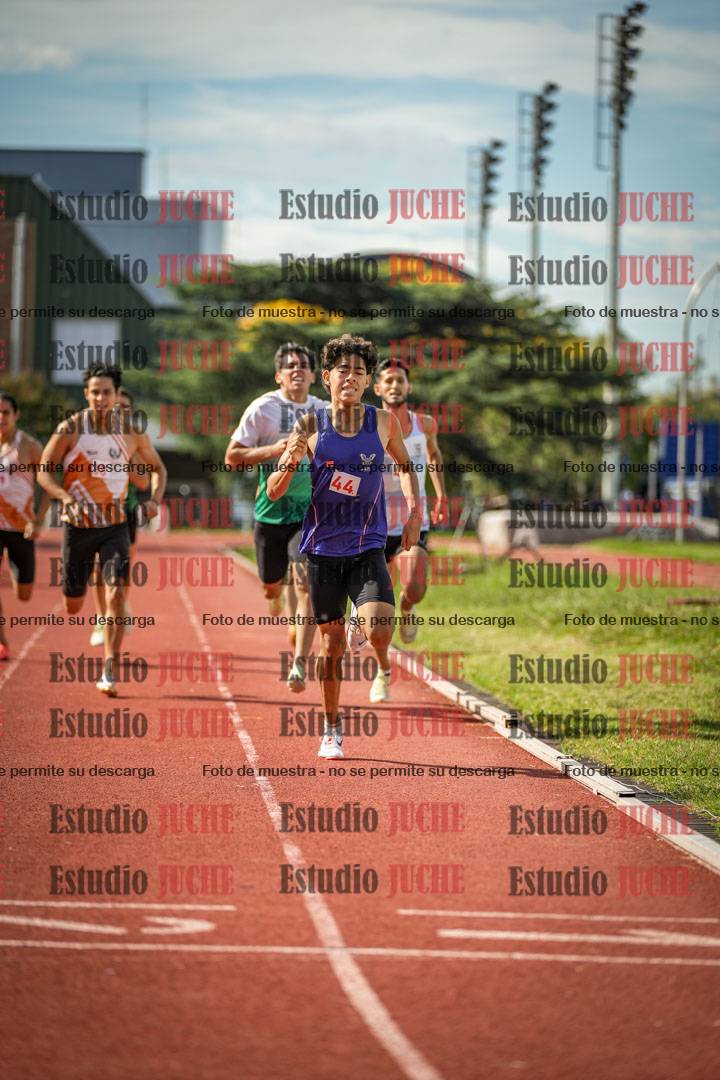 Fotos de los 800 m llanos de varones
