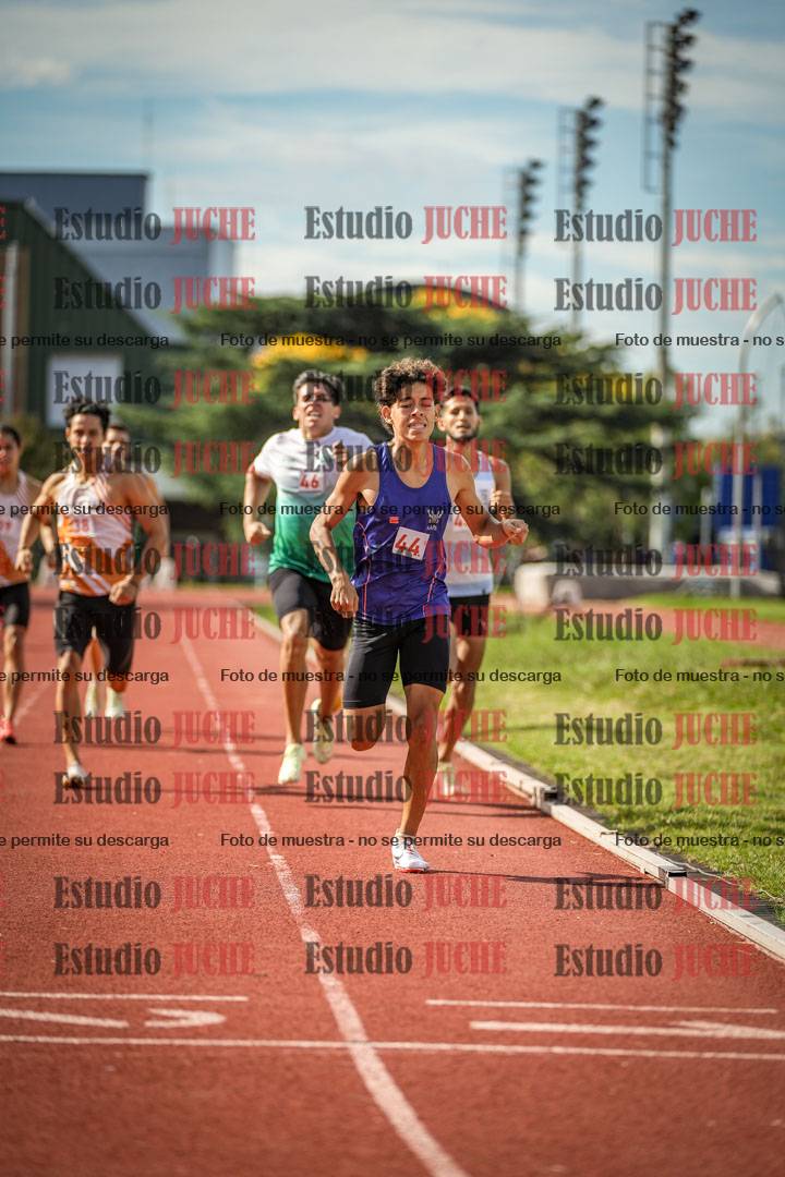 Fotos de los 800 m llanos de varones