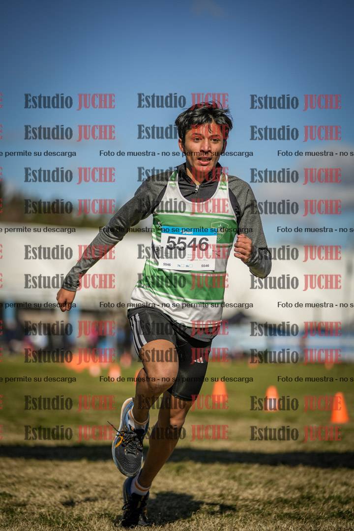 Fotos de las llegadas
