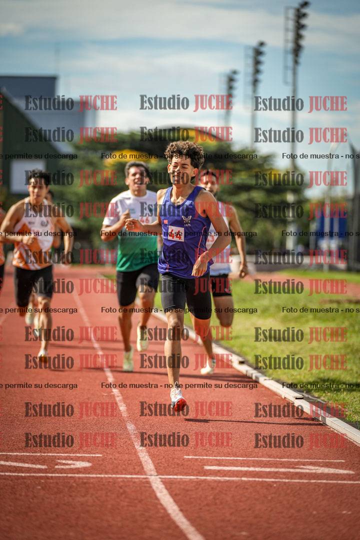 Fotos de los 800 m llanos de varones