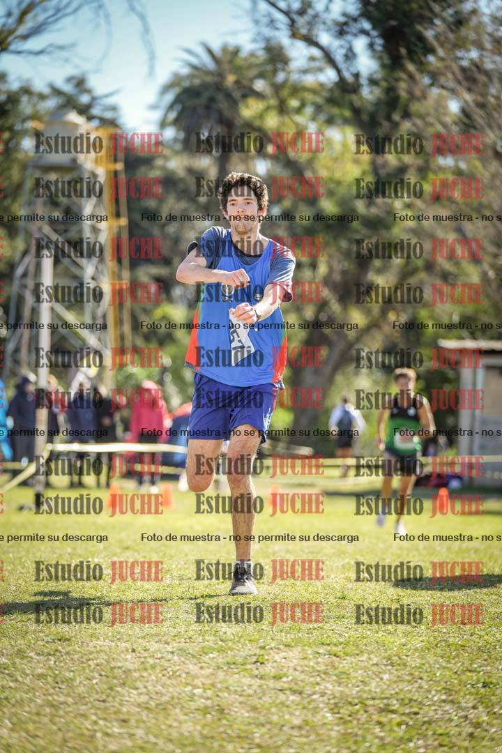 Fotos de la llegada del cross de 8000 m