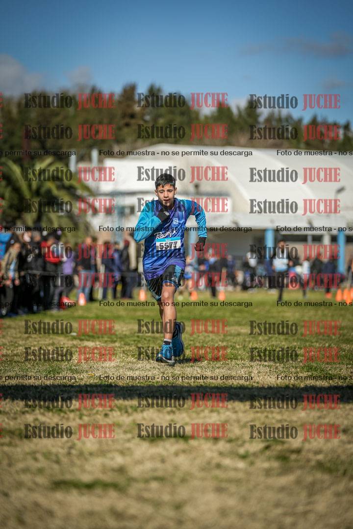 Fotos de las llegadas