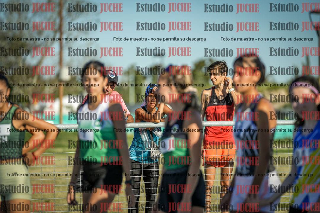Fotos de los 1500 m llanos de mujeres