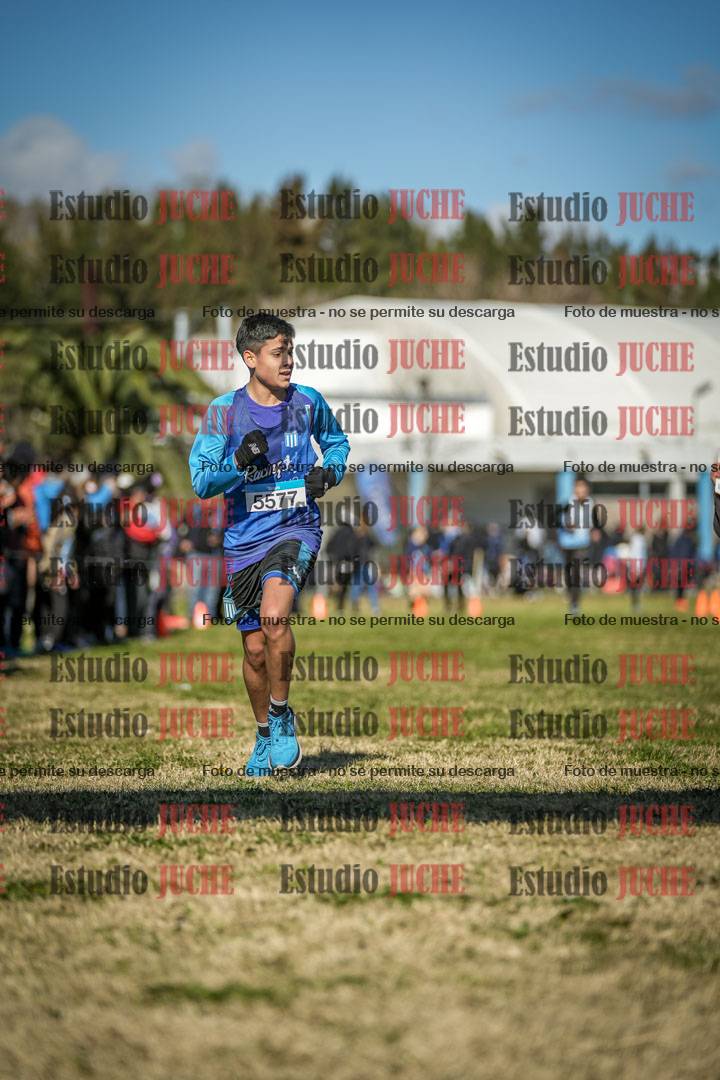 Fotos de las llegadas