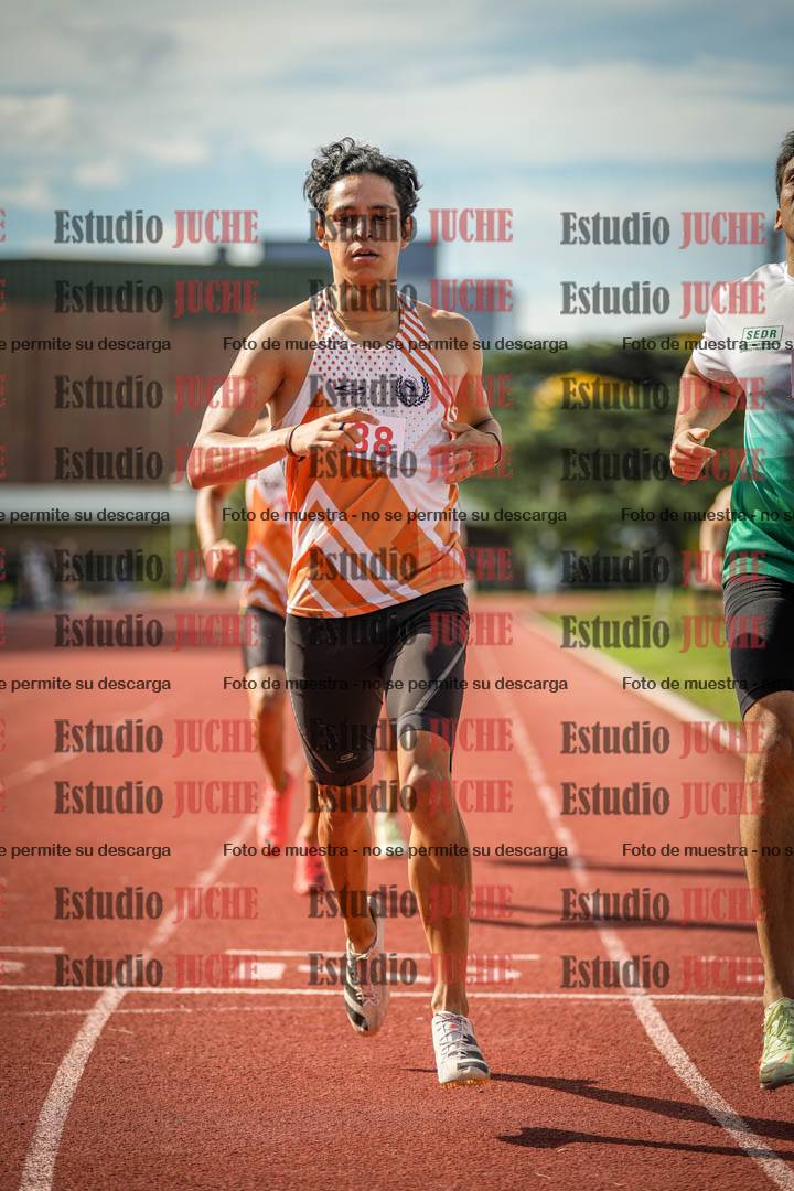 Fotos de los 800 m llanos de varones