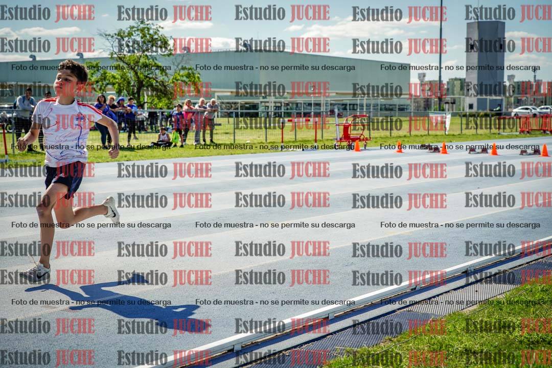Fotos de los 50 m llanos de varones