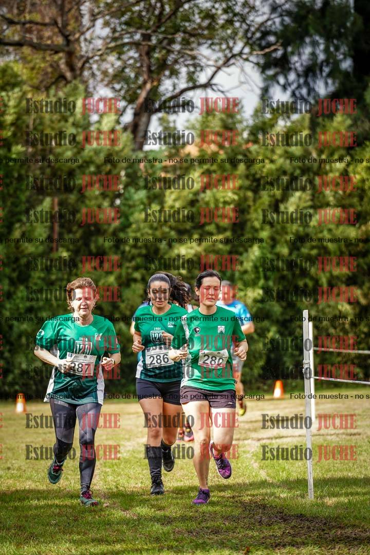 Fotos en el circuito