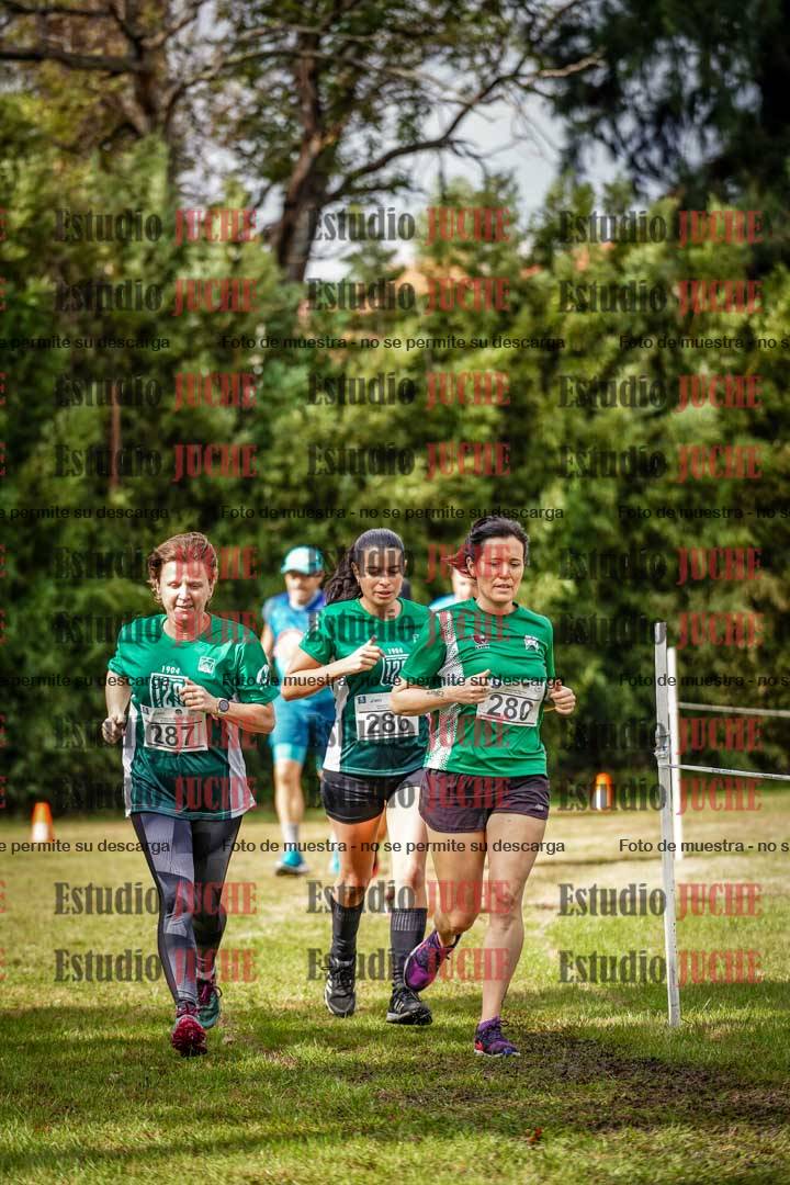 Fotos en el circuito